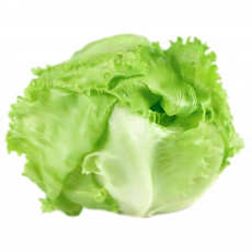 Lettuce Iceberg