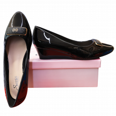 Wh3099 Ladies Shoes 36-41Y 12Pcs