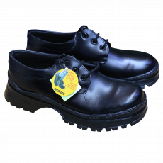 Agri Lschhol Shoes Youth. 424-6066