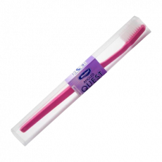 Wisdom Quest T/Brush